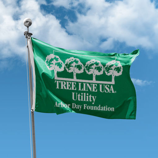 Tree Line USA Flag