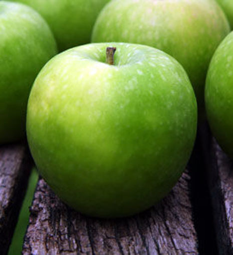 Early Harvest Apple