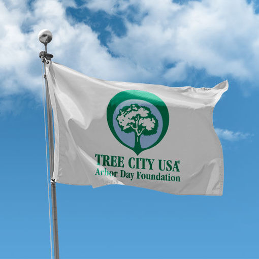 Tree City USA Flag