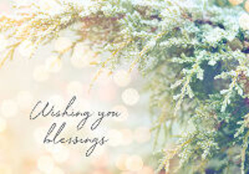 Wishing You Blessings