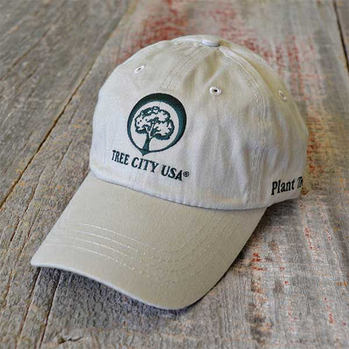 Tree City USA Cap - Tan