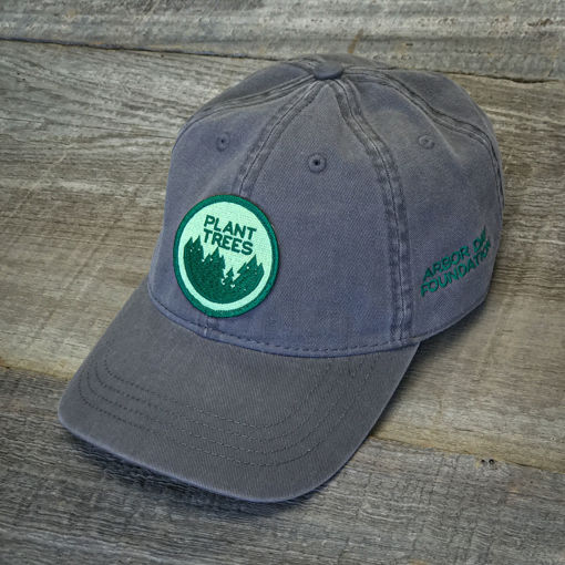 Plant Trees Embroidered Hat-Grey