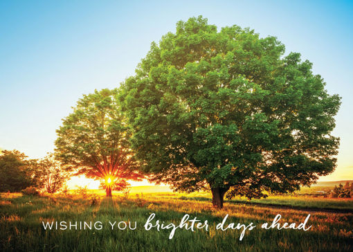 Wishing You Brighter Days