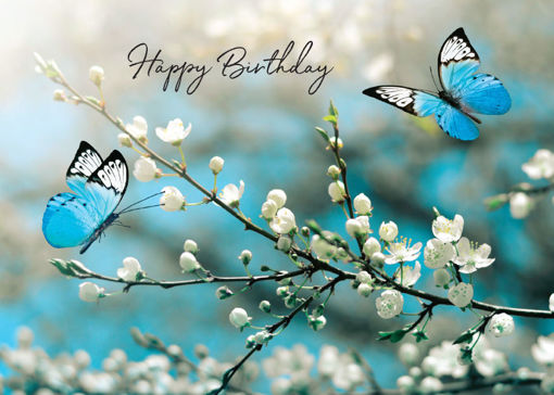 Butterfly Birthday