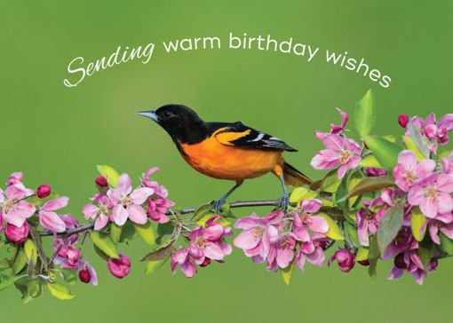 Warm Birthday Wishes