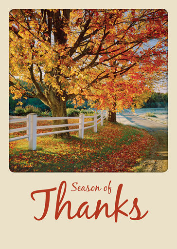 Season of Thanks