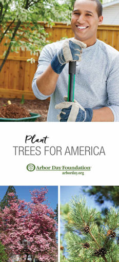 Trees for America Brochure Cover