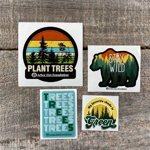 Stay Wild Vinyl Sticker Pack