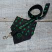 Leash and Bandana Set