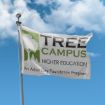 OLD: Tree Campus Higher Education Flag