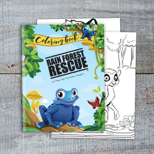 Rain Forest Rescue Coloring Book