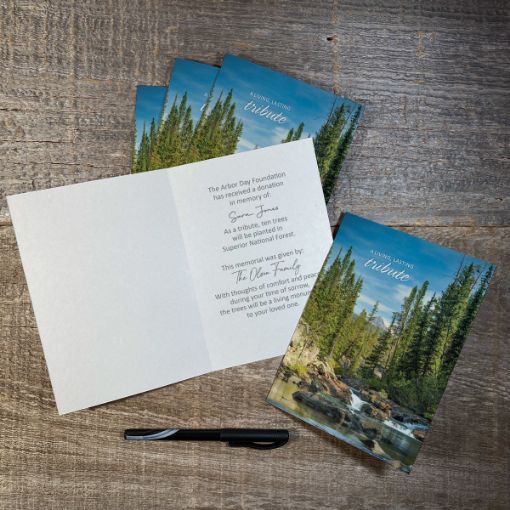 Trees in Memory Blank Honoree Cards-5 Pack