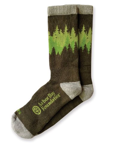 Into the Forest Socks