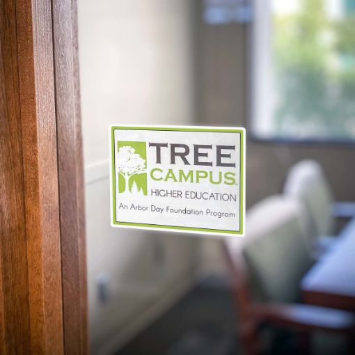 Tree Campus Higher Education Window Cling