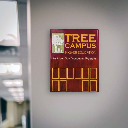 Tree Campus Higher Education Plaque