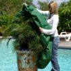 Tree Care: Planket® Frost Protection Plant Cover - 10' Round