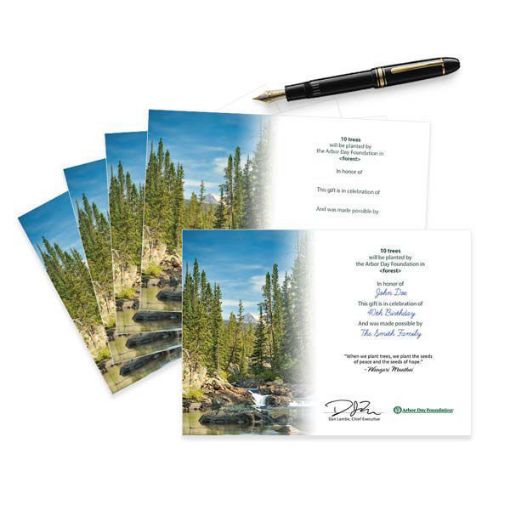 Trees in Celebration Blank Honoree Certificates-5 Pack