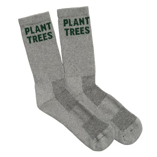 Arbor Day Plant Trees Socks