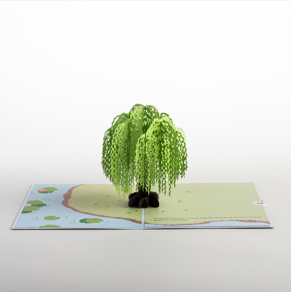 Arbor Day Pop-Up Card. Every Card Plants A Tree. Arbor Day Foundation ...