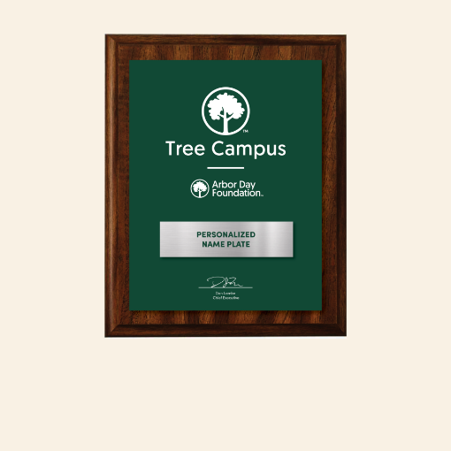 Tree Campus Higher Education Plaque