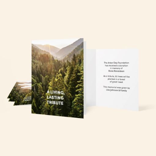 Trees in Memory Blank Honoree Cards-5 Pack